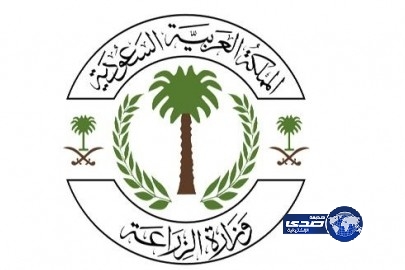 وزارة الزراعة ترفع حظر استيراد الأبقار الحية من الاوروجواي