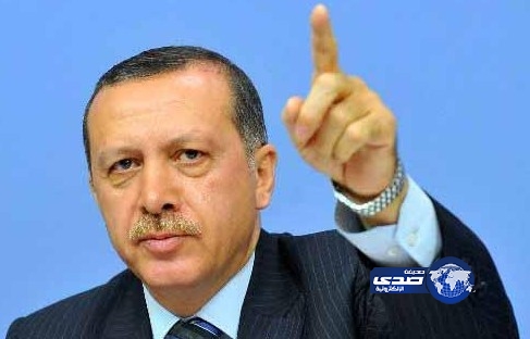 أردوغان رفض محادثة البرادعي قائلا: &#8220;كيف يمكن أن أتحدث معك.. أنت لم تنتخب ؟&#8221;