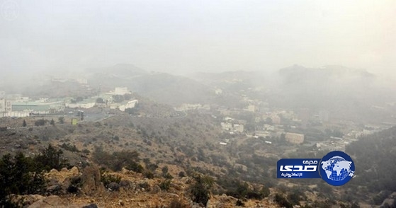 هطول  أمطار وضباب كثيف يخيم على غابات وطرقات منطقة الباحة