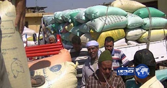 شركة إماراتية تعتزم توريد 5ر1 مليون طن قمح سنويًا لمصر