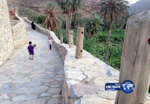 قرية ذي عين التراثية وجهة لسياح الباحة صيفاً وشتاءً