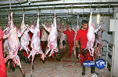 مصادرة 432 كجم من اللحوم وإغلاق 4 مطابخ لمطاعم بمكة