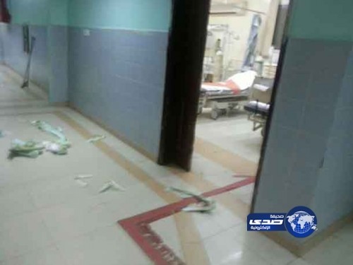 بالفيديو – قطط تأكل من طعام المرضى داخل مستشفى الطوال