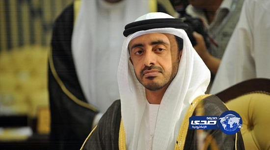 وزير الخارجية الإماراتي يصل للقاهرة