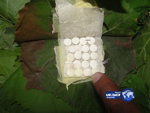 بالصورة – “جمرك الحديثة” يُحبط تهريب 58 ألف قرص مخدر