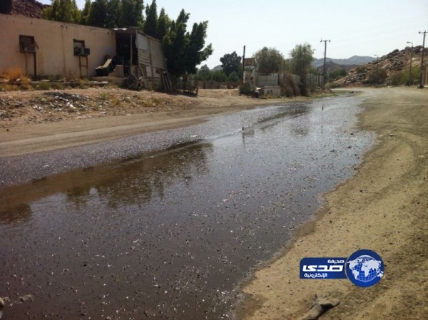 بالصور.. سيول من المجاري تنذر بكارثة صحية لأهالي قيم الطائف