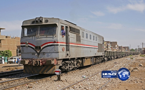 بالفيديو.. قطار يهتف &#8220;ارحل&#8221; و بريطانية تغني &#8221; ارحل يا مرسي .. الجيش باعك &#8221;