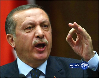 القاهرة: تصريحات أردوغان تهدف إلى ضرب وحدة المصريين