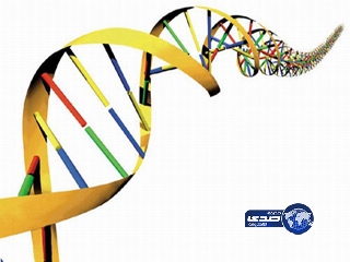 فحوصات الحمض النووي .. تكشف عن شاب اغتصب فتاة