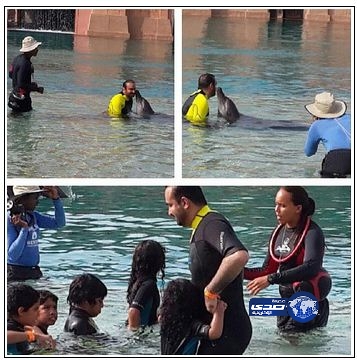 صور .. “شعر” بنات أحلام يثير السخرية