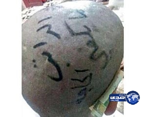 مواطن يغرد على صلعته .. “الراتب ما يكفي الحاجة”