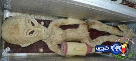 صيني يكتشف جثة كائن فضائي و يحفظه في ثلاجة منزله