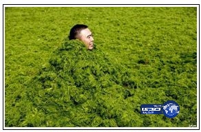 بالصور.. السباحة في بحر الطحالب بالصين