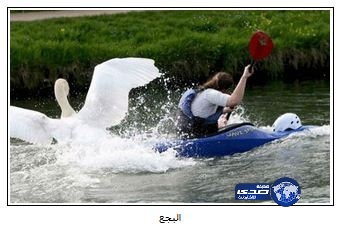 بالصور.. أخطر وأغرب 5 حيوانات تبدو بريئة لكنها قاتلة