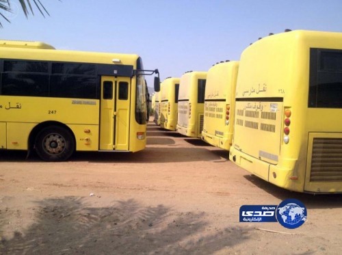 تأمين 150 حافلة جديدة لنقل طالبات نجران