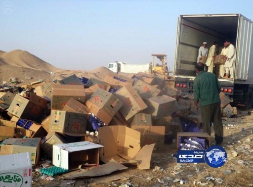 إتلاف أكثر من 400 ألف بيضة غير صالحة للاستهلاك الآدمي بنجران