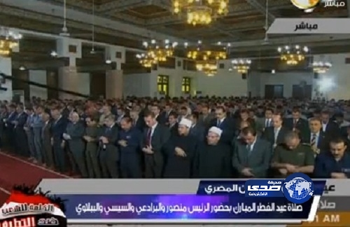 بالفيديو – البرادعي ينفي ادعاءات بشيعته