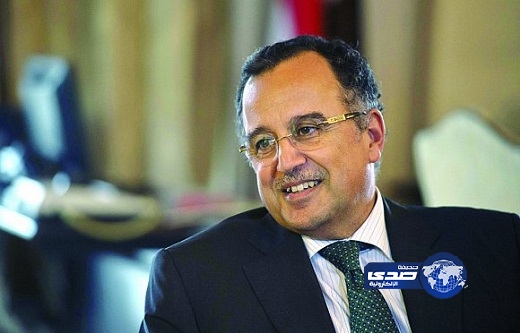 الخارجية المصرية: القاهرة ترفض تدويل الأزمة المصرية