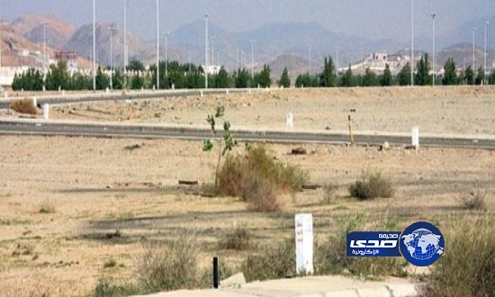 “الإسكان” تهدد أصحاب الأراضي البيضاء بالبناء أو العقوبات