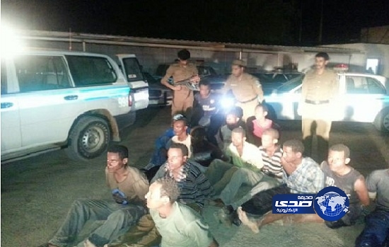 إحباط تهريب 14 أثيوبياً بالجوف