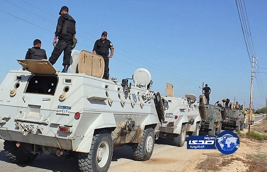 القوات المصرية تقبض على 11 من العناصر المسلحة بسيناء