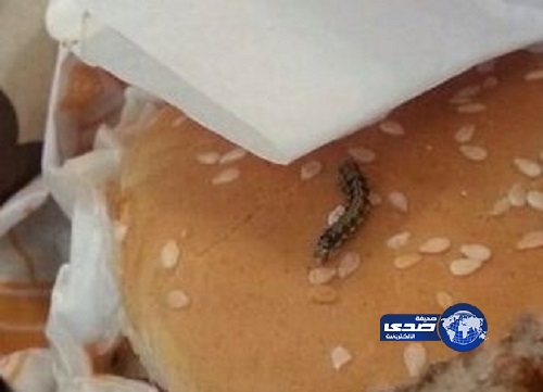 أمانة عسير تضبط دودة داخل وجبة هامبرجر