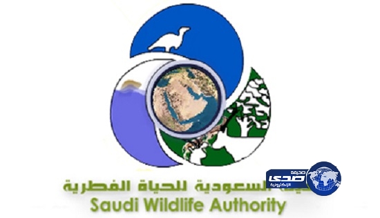 الحياة الفطرية : لا وجود لحساب لنا في تويتر بمسمى “محمية الوعول”