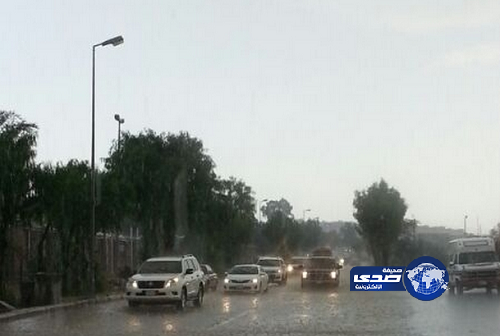 أمطار وزخات البرد تجذب الزوار إلى مركز الشفا السياحي بالطائف