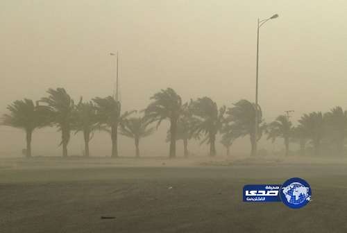 “الجوف” تتعرَّض لرياح شديدة مثيرة للأتربة والغبار