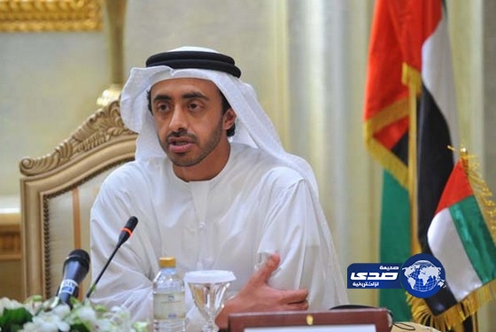 الإمارات تضغط على واشنطن لدعم حكومة مصر