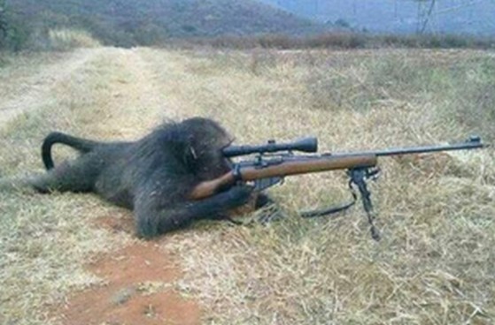 محارب على الجبهة !!