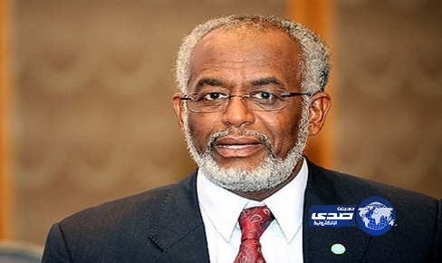 الخارجية السودانية: ما يجري في مصر شأن داخلي