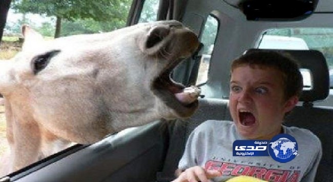 طار عقل الولد