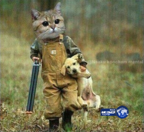 الدنيا دوارة ..!