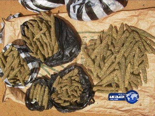 شبان يتعاطون “البنقو” في نهار رمضان