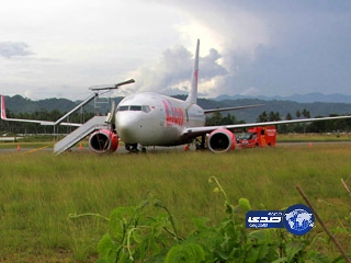 طائرة تصطدم ببقرة وتنحرف عن المدرج