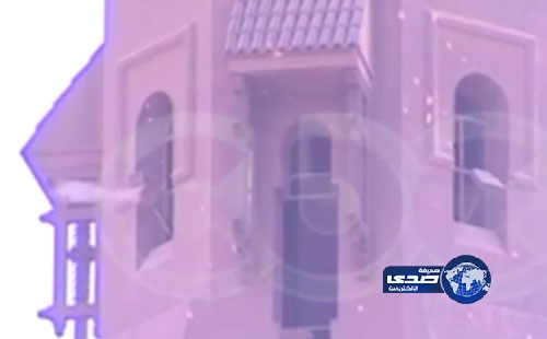 بالفيديو- مسلحون يطلقون النار من مئذنة “الفتح” بمصر