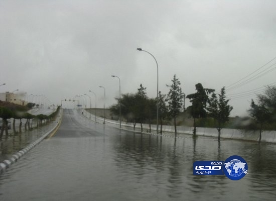 هطول أمطار على محافظة الطائف