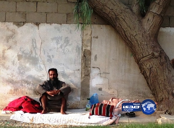 مواطن يستوطن شجرة منذ 10 سنوات في حي “الملز”