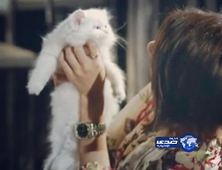 هيا عبدالسلام تتلقى عروضاً لشراء قطتها