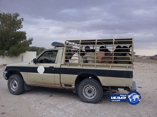 إحباط تهريب 6 مجهولين على طريق تربة رنية