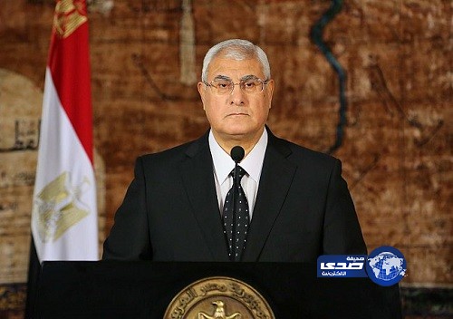 الرئيس المصري يجدد رفض بلاده ضرب سوريا