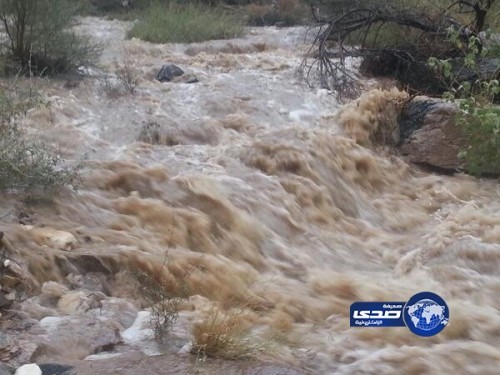 هطول أمطار غزيرة على محافظة بارق