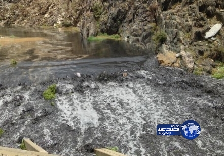 9 فرق ميدانية تردم البِرَك وتنظف مجاري المياه بالباحة