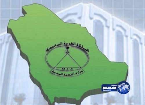 “الخدمة المدنية” إجازة عيد الضحى المبارك لموظفي الحكومة 11 يوماً