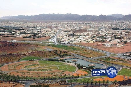 مجلس التنمية السياحية بحائل يطلق ورشة عمل لتطوير مهرجان الصحراء