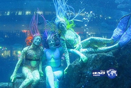 حوريات البحر في “دبي أكواريوم وحديقة الحيوانات المائية”