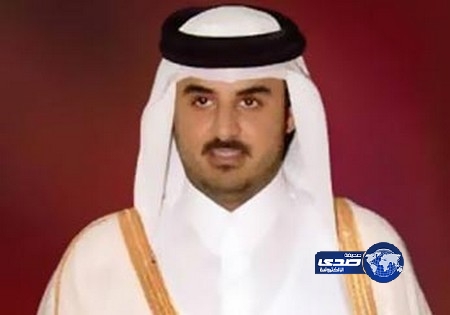 أمير قطر الجديد يطارد طائر الحبار في الجزائر مسلحاً بطائرة مزودة بكل وسائل التخييم