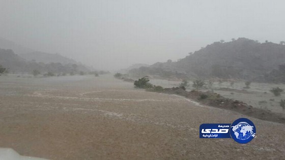 هطول  أمطار على محافظة الطائف