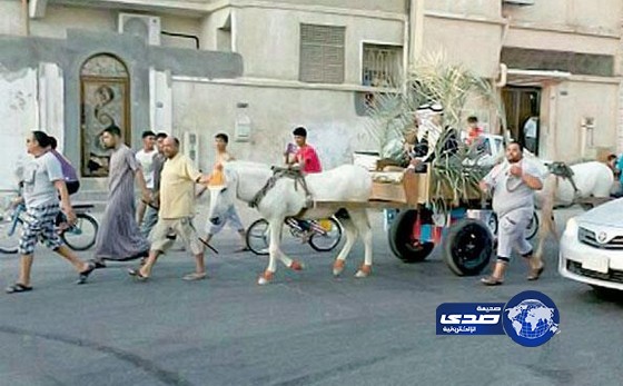 شقيقان في الأحساء يستخدمان عربة تجرها “الحمير” في حفل زواجهما